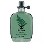 Scent Green Fougere toaletní voda pánská -: 30 ml